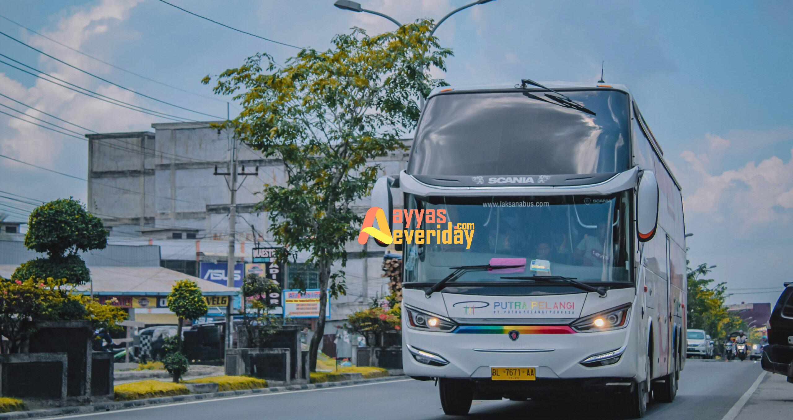 white and black bus on road during daytime