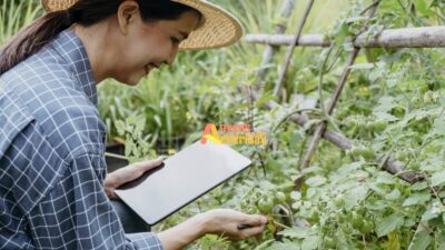 Pentingnya Pendidikan Pertanian dalam Meningkatkan Produktivitas Pertanian