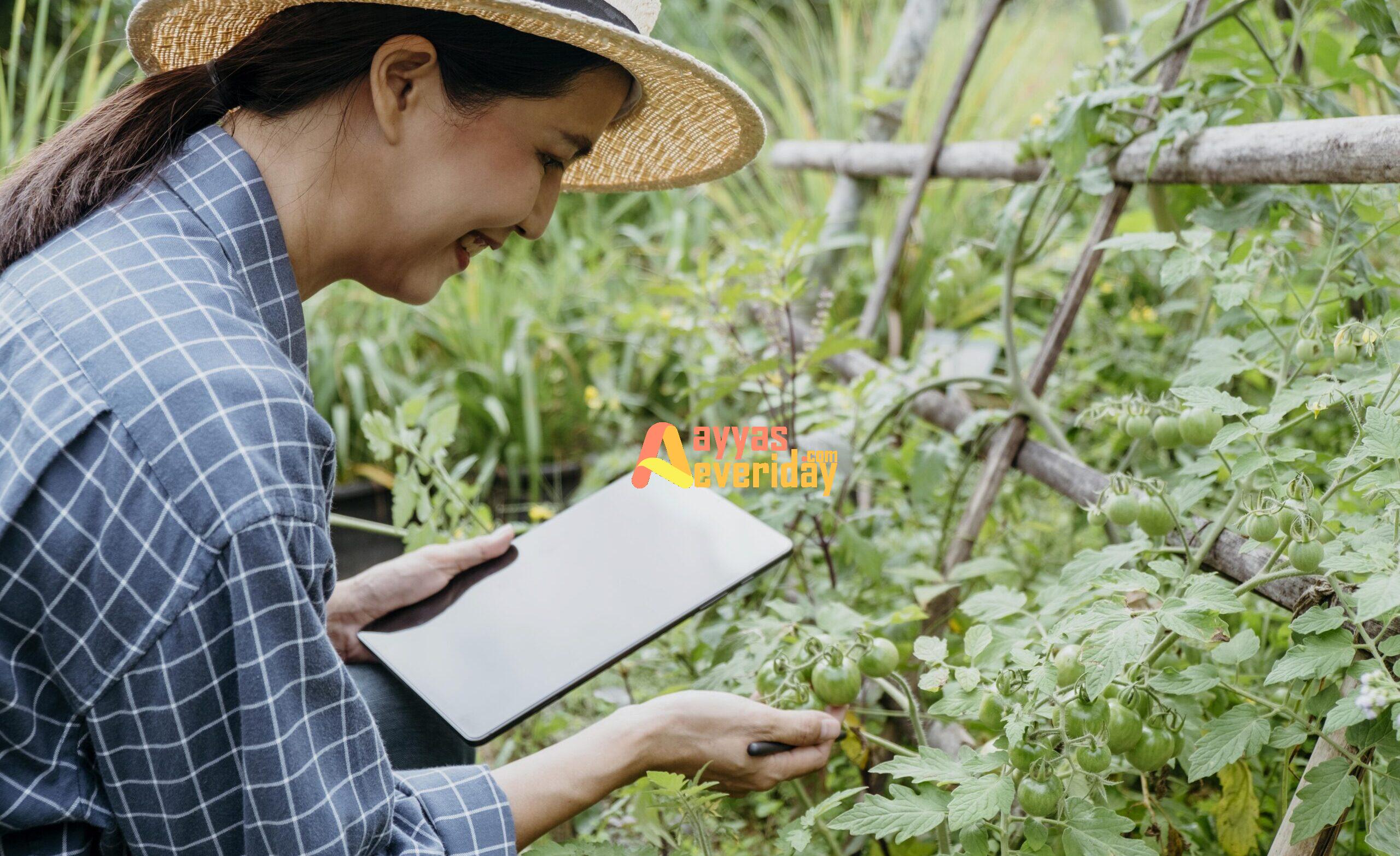 Pentingnya Pendidikan Pertanian dalam Meningkatkan Produktivitas Pertanian