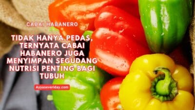 kandungan cabai habanero